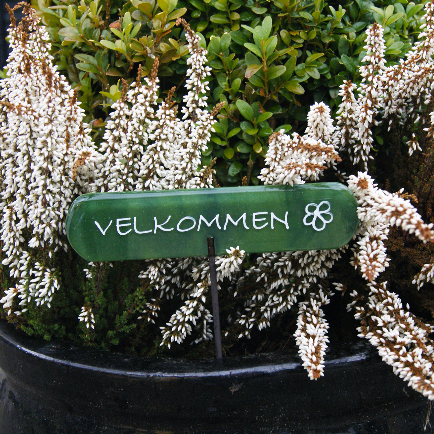 03004000 Velkommenskilt på pind i grøn i blomsterkrukke