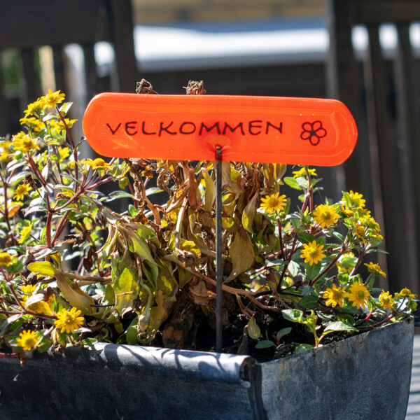 03004000 Velkommenskilt på pind i orange i blomsterkrukke