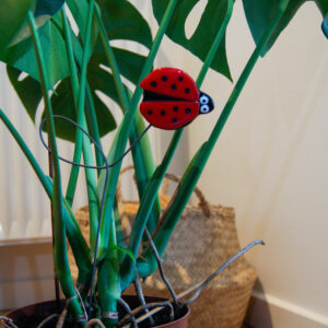 01011000 Mariehøne på snoet pind i rød i potteplante